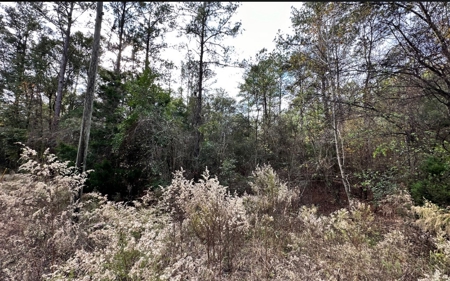 Live Oak Florida Suwannee River Proerty For Sale!!! - image 2