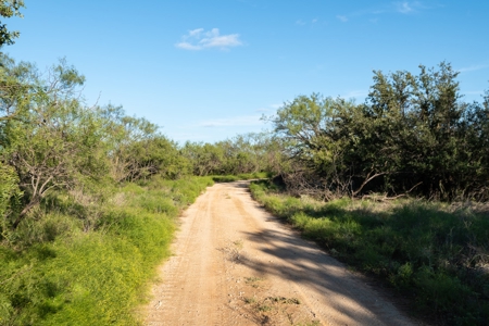 Breckenridge Texas Ranch & Hunting Land West of Fort Worth - image 21