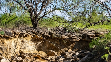 Breckenridge Texas Ranch & Hunting Land West of Fort Worth - image 12