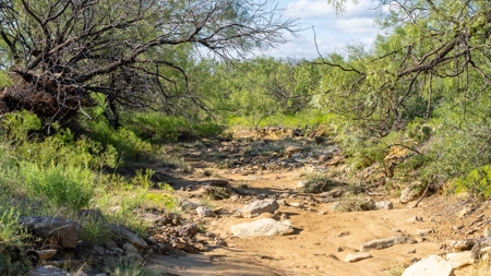 Breckenridge Texas Ranch & Hunting Land West of Fort Worth - image 13