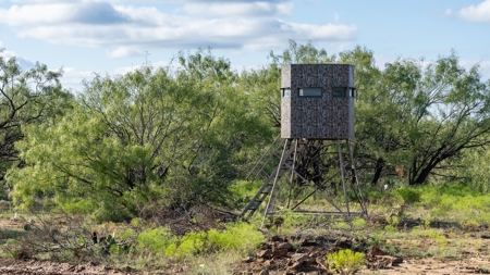 Breckenridge Texas Ranch & Hunting Land West of Fort Worth - image 14