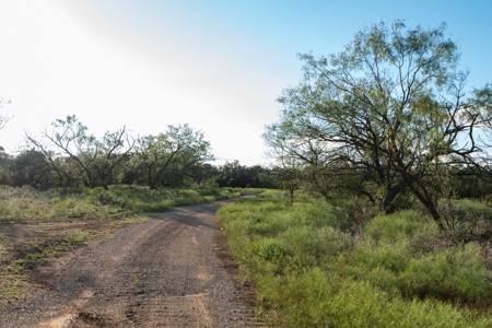 Breckenridge Texas Ranch & Hunting Land West of Fort Worth - image 22