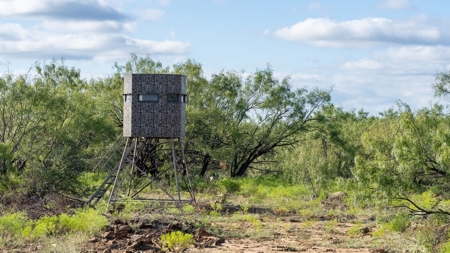 Breckenridge Texas Ranch & Hunting Land West of Fort Worth - image 15