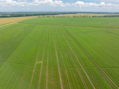 Irrigated Farm For Sale Louisiana - image 32