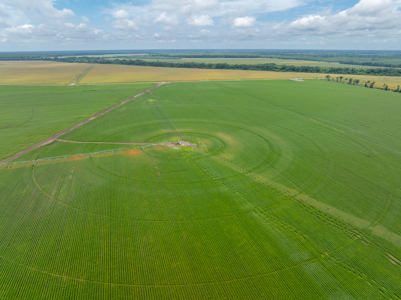 Irrigated Farm For Sale Louisiana - image 5