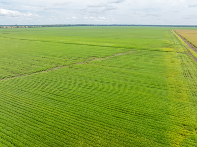 Irrigated Farm For Sale Louisiana - image 36