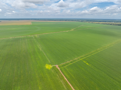 Irrigated Farm For Sale Louisiana - image 28