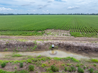 Irrigated Farm For Sale Louisiana - image 25