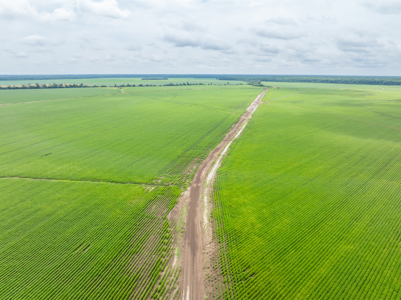 Irrigated Farm For Sale Louisiana - image 19