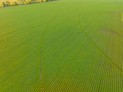 Irrigated Farm For Sale Louisiana - image 34