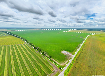 Irrigated Farm For Sale Louisiana - image 1