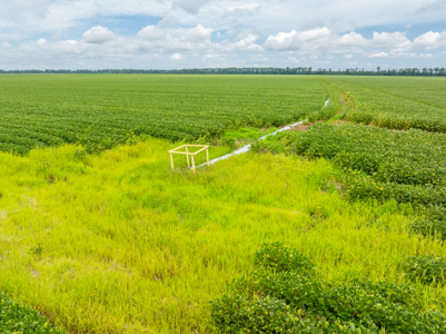 Irrigated Farm For Sale Louisiana - image 30