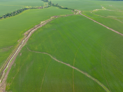 Irrigated Farm For Sale Louisiana - image 7
