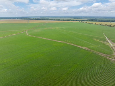 Irrigated Farm For Sale Louisiana - image 4