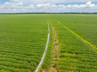 Irrigated Farm For Sale Louisiana - image 31