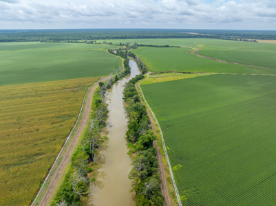 Irrigated Farm For Sale Louisiana - image 27