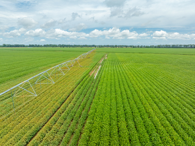 Irrigated Farm For Sale Louisiana - image 16