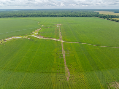 Irrigated Farm For Sale Louisiana - image 12