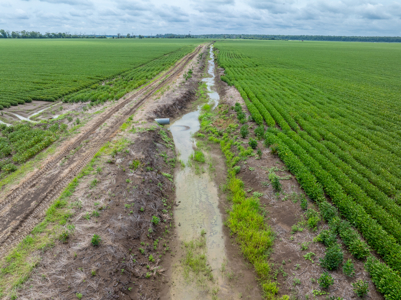 Irrigated Farm For Sale Louisiana - image 24