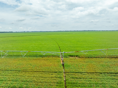 Irrigated Farm For Sale Louisiana - image 17