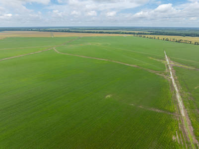 Irrigated Farm For Sale Louisiana - image 3