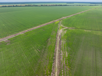 Irrigated Farm For Sale Louisiana - image 20