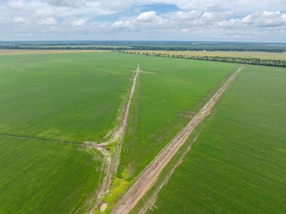 Irrigated Farm For Sale Louisiana - image 2