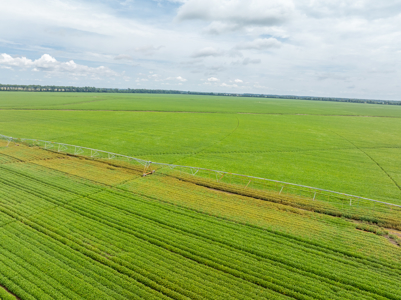 Irrigated Farm For Sale Louisiana - image 14