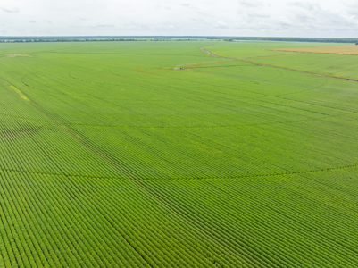 Irrigated Farm For Sale Louisiana - image 35