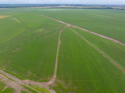 Irrigated Farm For Sale Louisiana - image 13