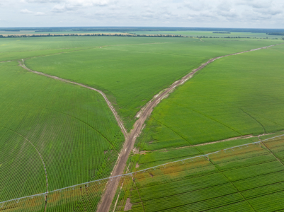 Irrigated Farm For Sale Louisiana - image 6