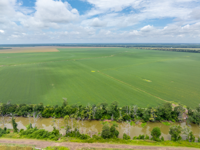Irrigated Farm For Sale Louisiana - image 26