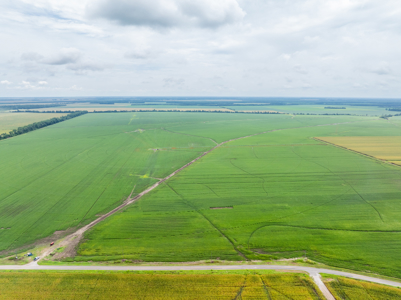 Irrigated Farm For Sale Louisiana - image 38