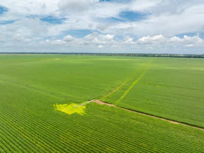 Irrigated Farm For Sale Louisiana - image 29