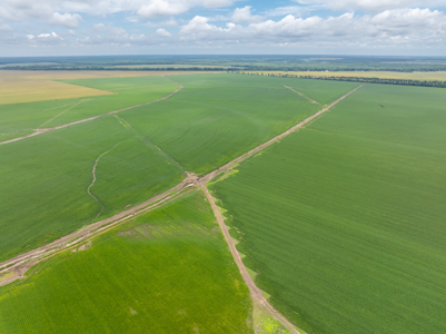 Irrigated Farm For Sale Louisiana - image 8