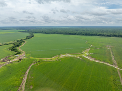 Irrigated Farm For Sale Louisiana - image 10
