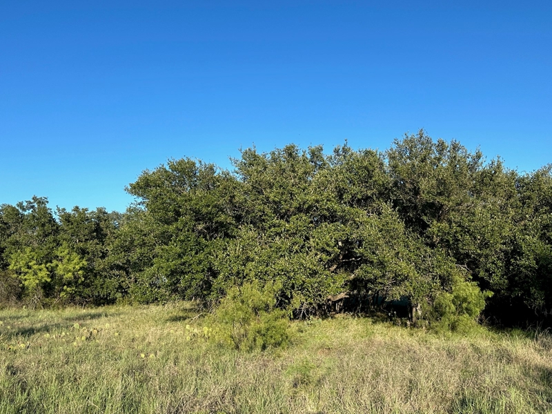 Lot view