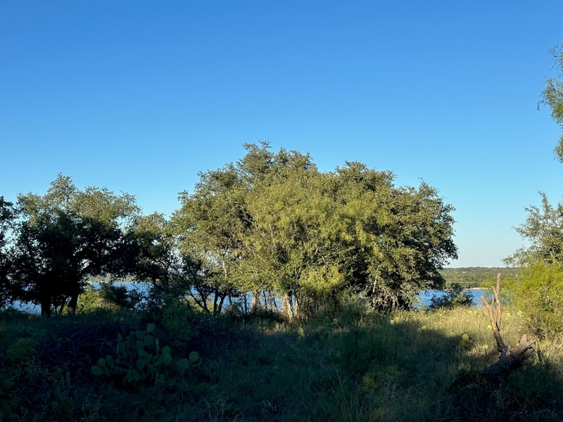 View from front of lot