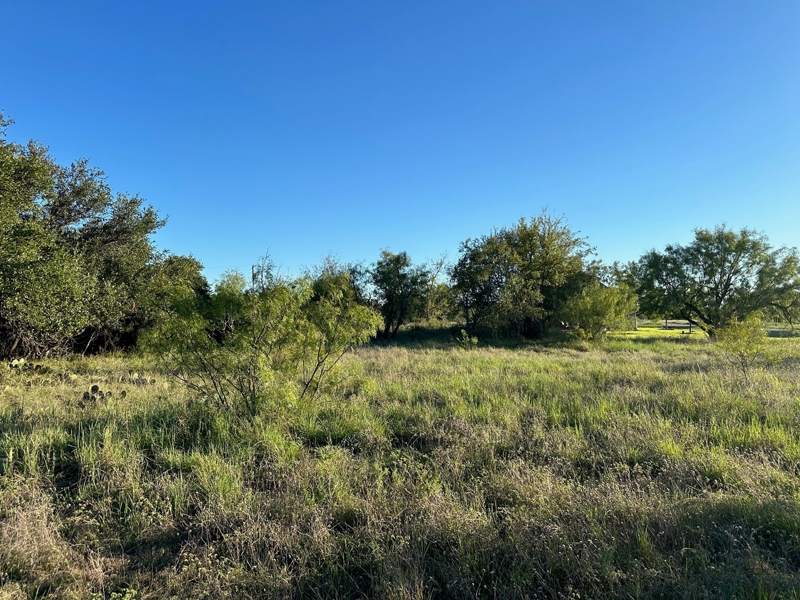 Lot view