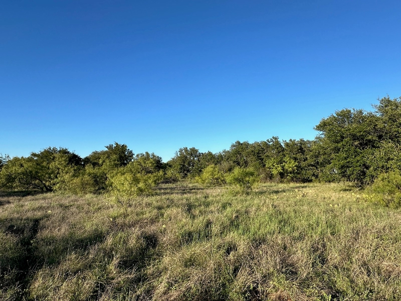 Lot view