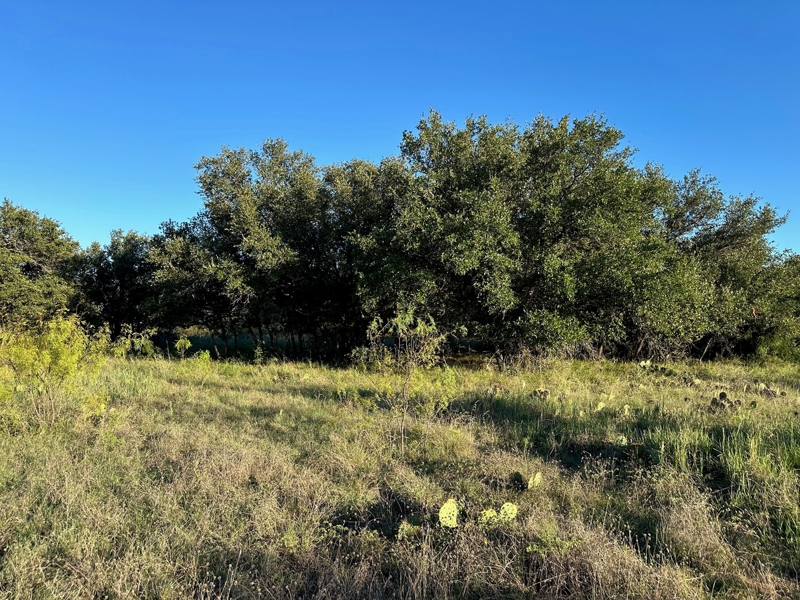 Lot view