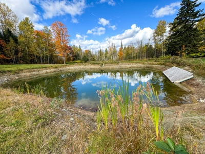 Contemporary Home on 10.5 acres with Pond - image 12