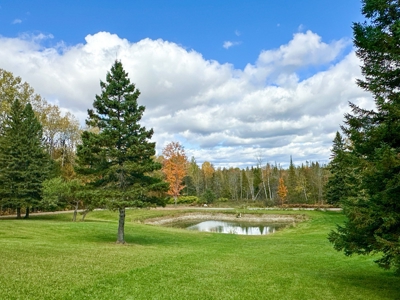 Contemporary Home on 10.5 acres with Pond - image 40