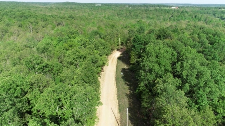 155 Secluded Acres with Cave, Spring & Marketable Timber - image 14