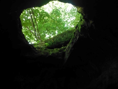 155 Secluded Acres with Cave, Spring & Marketable Timber - image 1