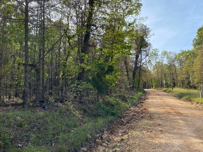 155 Secluded Acres with Cave, Spring & Marketable Timber - image 3