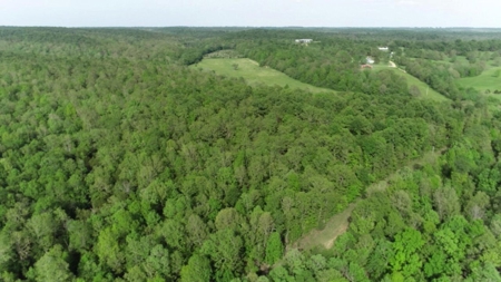 155 Secluded Acres with Cave, Spring & Marketable Timber - image 19