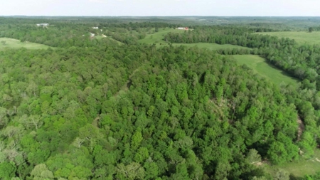 155 Secluded Acres with Cave, Spring & Marketable Timber - image 16