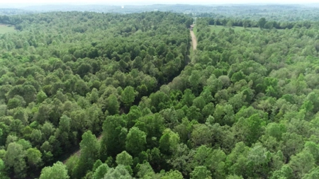 155 Secluded Acres with Cave, Spring & Marketable Timber - image 21