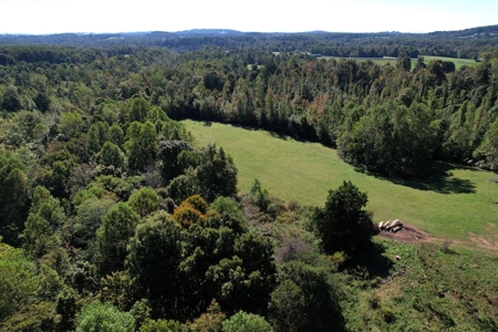 Amish Home & 2 Barns On 12.11 Acres - Casey County, Ky - image 6